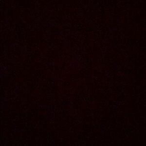 EVERYTHING NEEDS TO GO!!